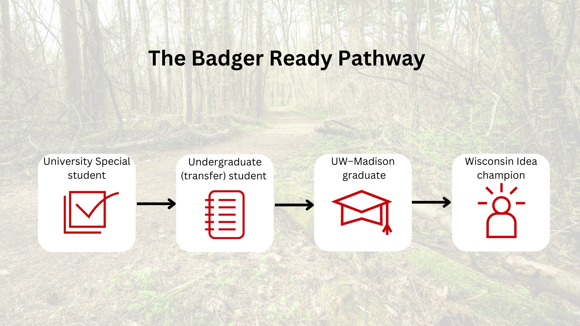 The Badger Ready Pathway: University Special student, Undergraduate student, UW–Madison graduate, Wisconsin Idea champion
